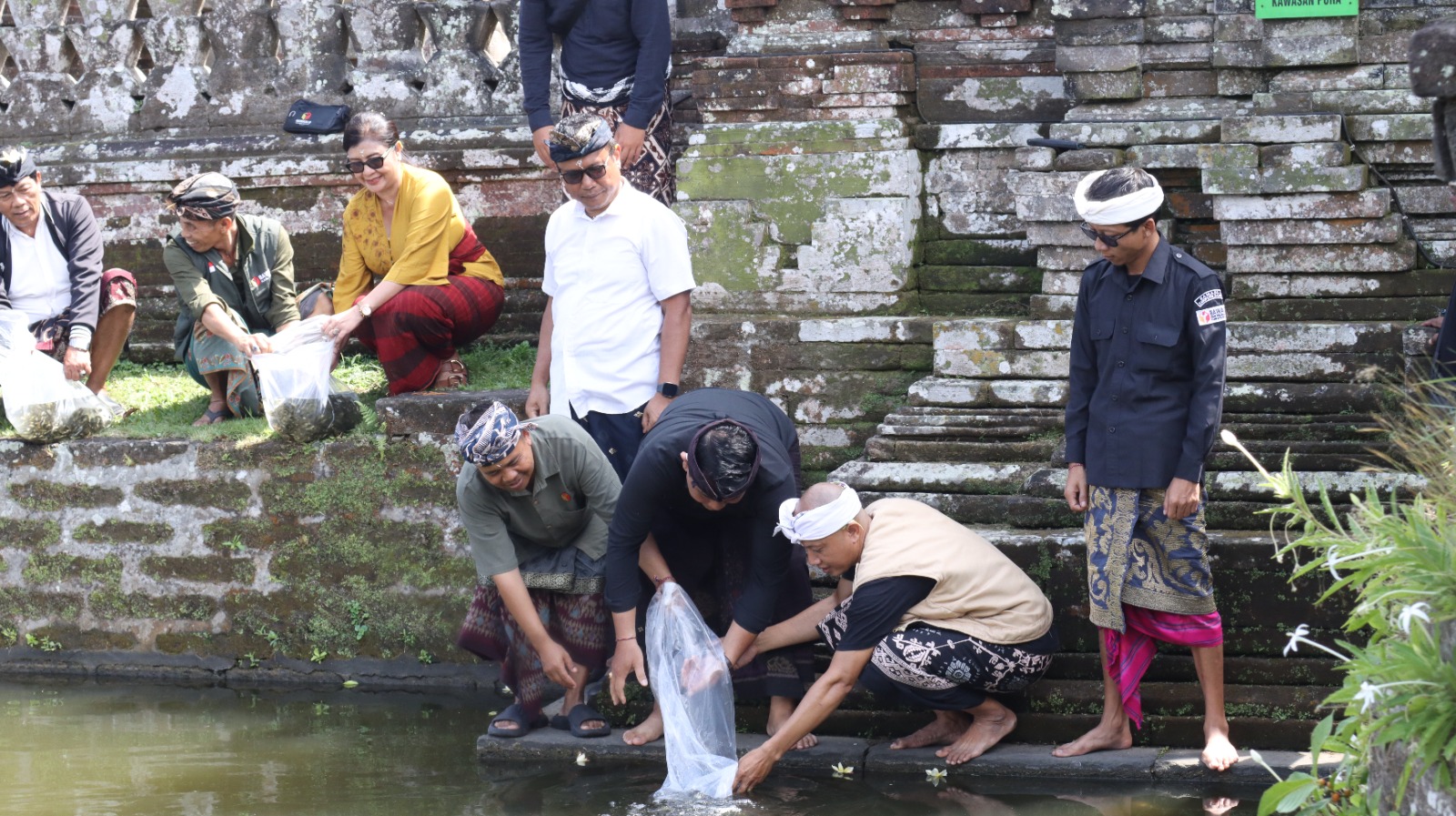 Pelepasan Benih ikan di Kolam Pura Taman Ayun